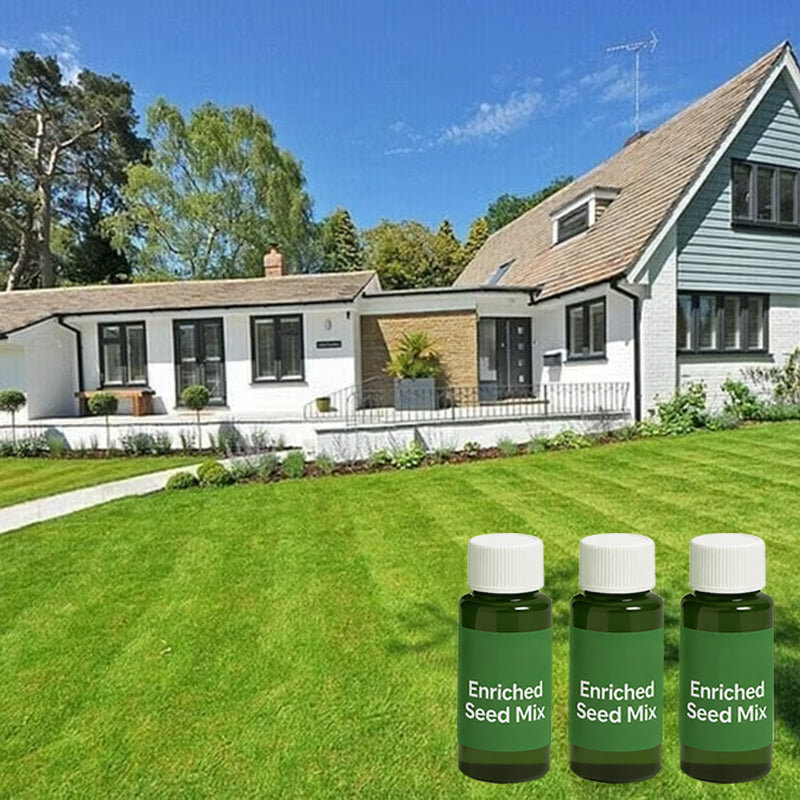 Hydro Seeding Lawn Solution